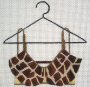 Bras  & Tap Pants