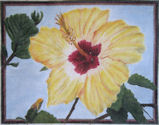 FL55 Suzy Mast Lee Yellow Hibiscus